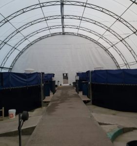 AQUACULTURE